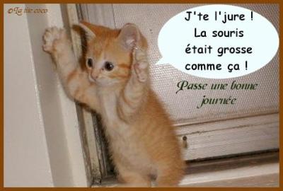 le rat